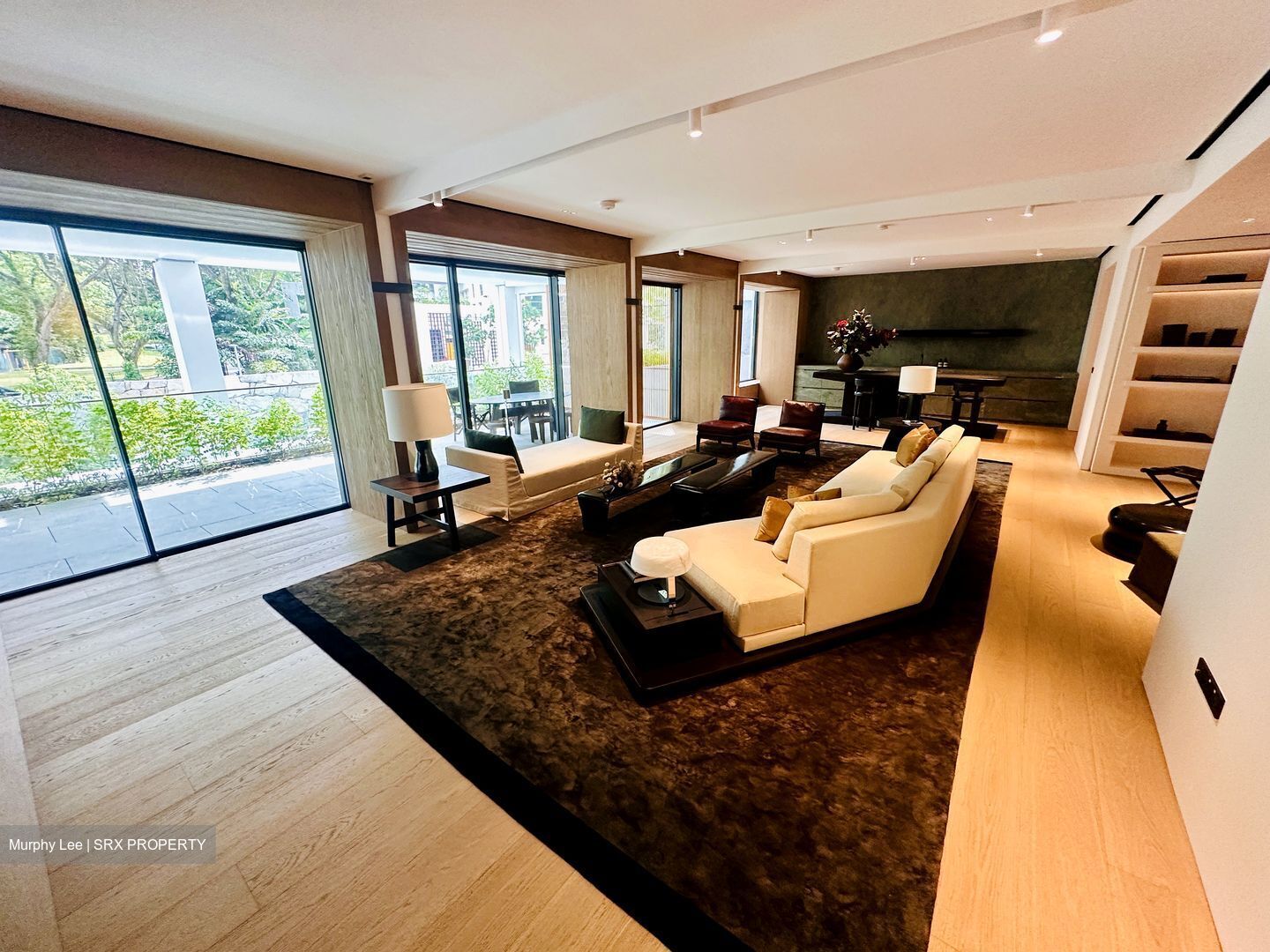 21 Anderson (D10), Condominium #526750301